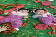 [�θ�-�ڳ����α׷�]����..