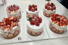 [�μ� �� ��������] 12��..